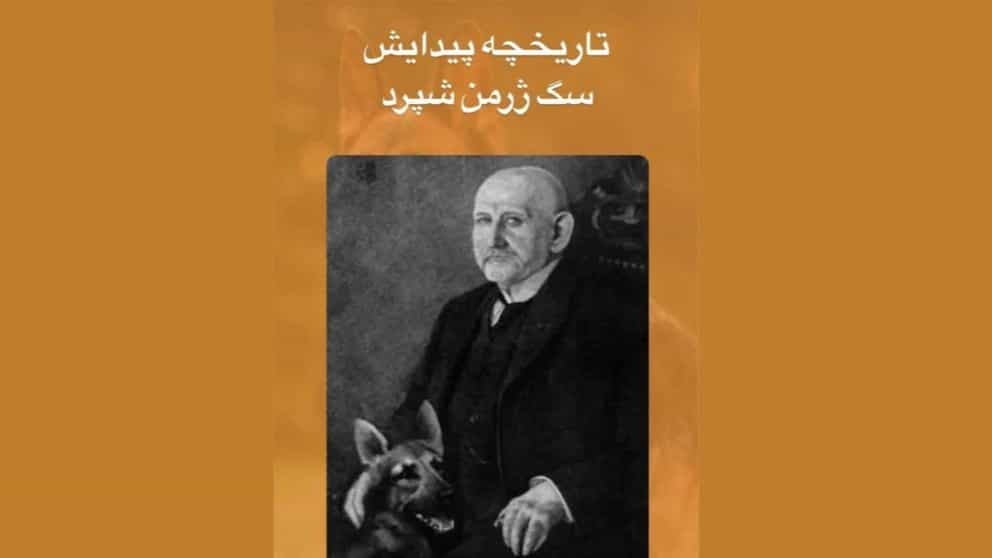 تاریخچه پیدایش سگ ژرمن شپرد