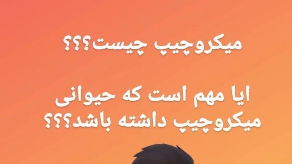 میکروچیپ چیست؟