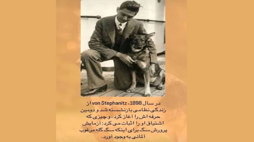 تاریخچه پیدایش سگ ژرمن شپرد
